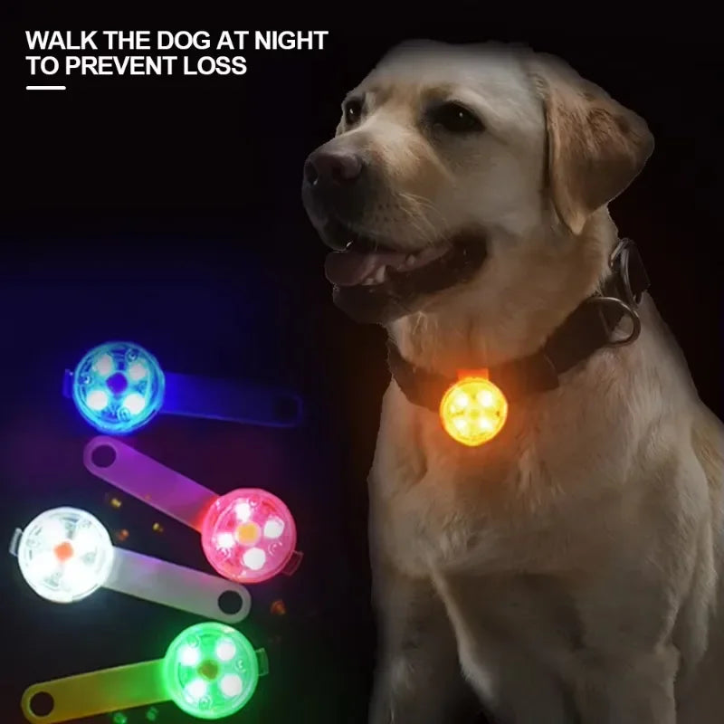 Kutyanyakörv, elvesztés elleni nyakörv, időjárásálló LED biztonsági lámpa, USB-n újratölthető LED fénynyakörv, kutya, macska, háziállat