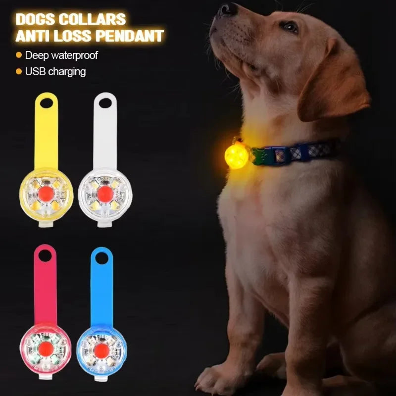 Kutyanyakörv, elvesztés elleni nyakörv, időjárásálló LED biztonsági lámpa, USB-n újratölthető LED fénynyakörv, kutya, macska, háziállat