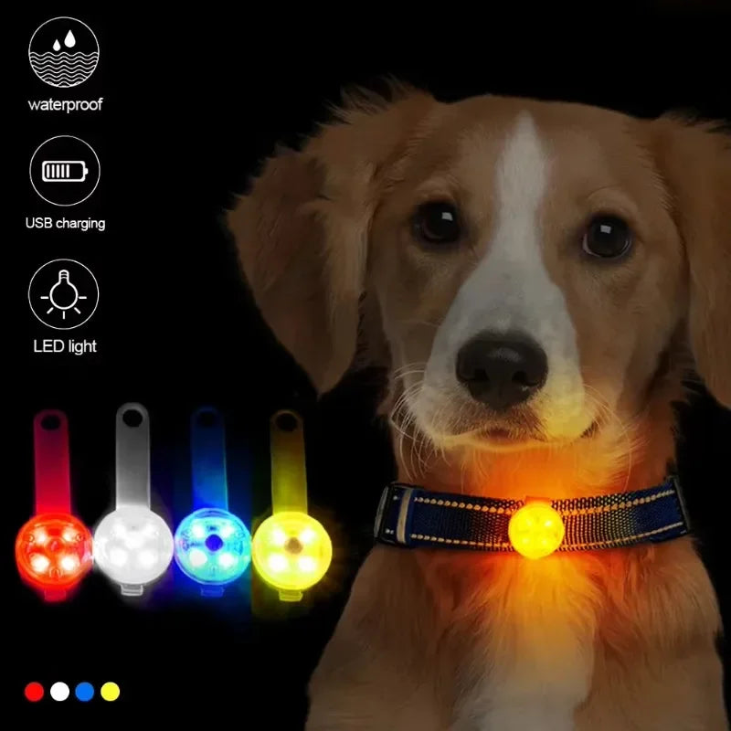 Kutyanyakörv, elvesztés elleni nyakörv, időjárásálló LED biztonsági lámpa, USB-n újratölthető LED fénynyakörv, kutya, macska, háziállat