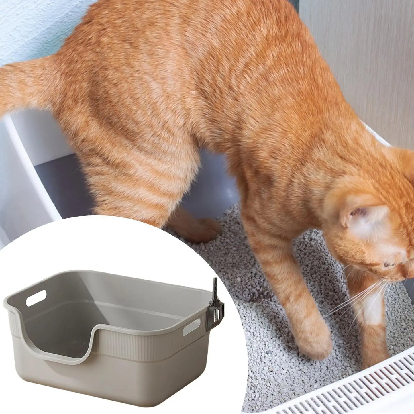 Macskaalomdoboz magas falakkal, nyitott alomtálca beltéri műanyag ,házimacskáknak, könnyen tisztítható WC-vel