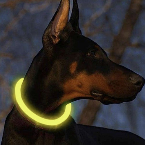 LED világító nyakörv - állítható Purlov 24200