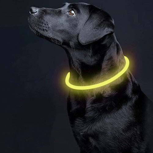 LED világító nyakörv - állítható Purlov 24200
