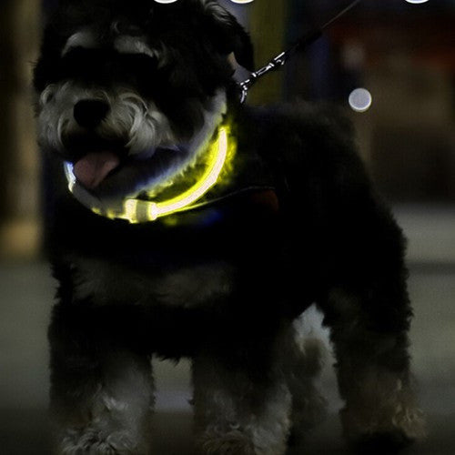 LED világító nyakörv - állítható Purlov 24200