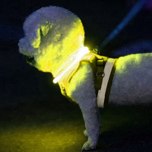 LED világító nyakörv - állítható Purlov 24200